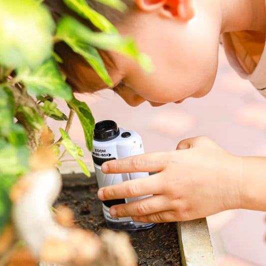 Une Journée avec le Kiddoscope : L'Aventure d'un Jeune Explorateur - Kiddoscope