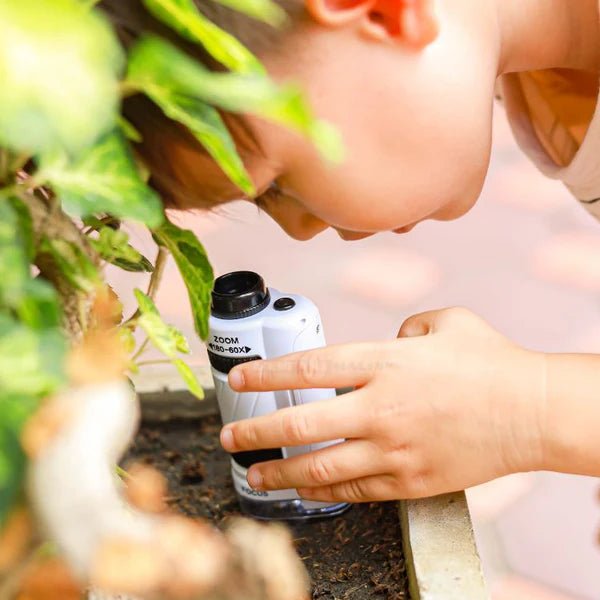 Une Journée avec le Kiddoscope : L'Aventure d'un Jeune Explorateur - Kiddoscope